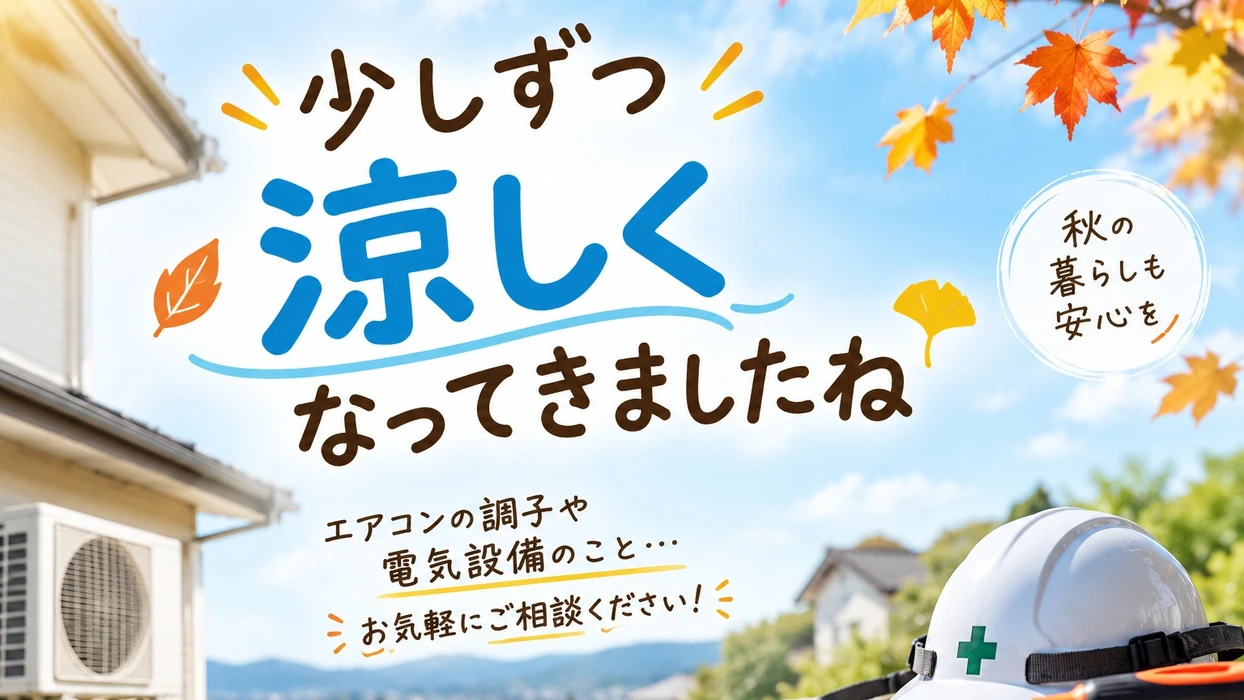 画像248